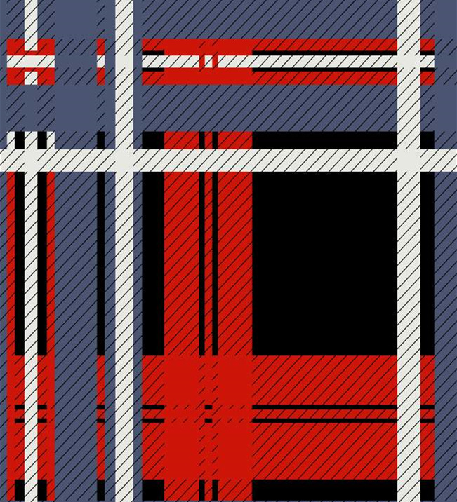 经典红蓝格纹面料印花素材,适用于休闲服装印花设计