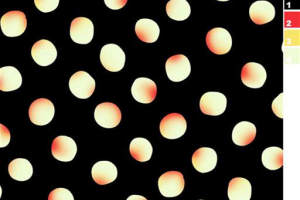 黑底暖光晕染波点面料印花素材，适用于时尚服装印花设计