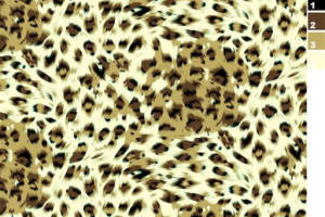 经典豹纹面料印花素材图，适用于服装印花设计与数码印染
