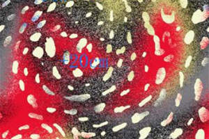 抽象泼墨风面料印花素材，适用于服装印花设计的高清花型图