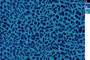 蓝黑豹纹面料印花素材图，适用于服装印花设计与数码印制