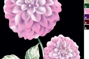 柔美粉黛大丽花面料印花素材，适用于女装服装印花设计