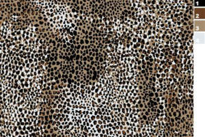 复古豹纹面料印花素材图，适用于服装印花设计与数码印染