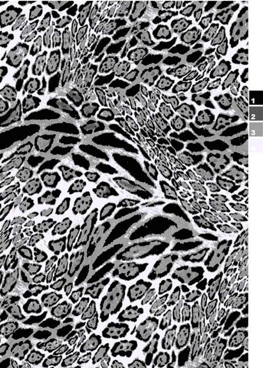 经典豹纹面料印花素材图,适用于服装印花设计与数码印染
