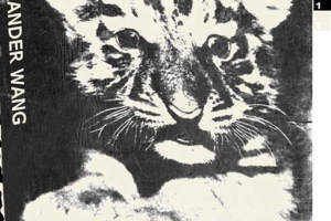 黑白写意虎崽印花素材｜服装印花设计灵感来源