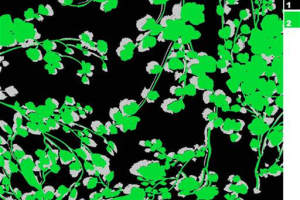 高对比荧光绿藤蔓面料印花素材，适用于春夏服装印花设计