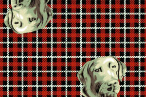 红黑格纹底+复古犬头印花面料印花素材，适用于服装印花设计