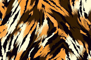 老虎纹面料印花素材图，适用于服装印花设计的高辨识度野性图案
