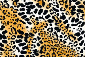豹纹渐变面料印花素材，适用于时尚服装印花设计