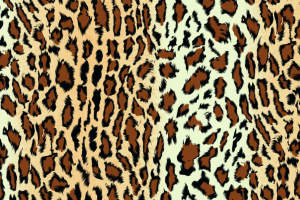 经典豹纹面料印花素材图，适用于服装印花设计与时尚服饰开发