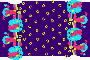 梦幻彩虹树丛面料印花素材，适用于儿童服装印花设计