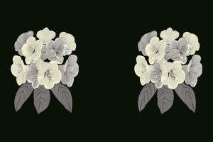 简约线描花卉面料印花素材，适用于服装印花设计与数码印制