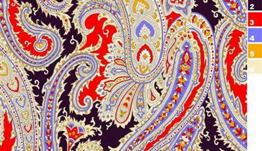 经典佩斯利纹面料印花素材,适用于高端服装印花设计