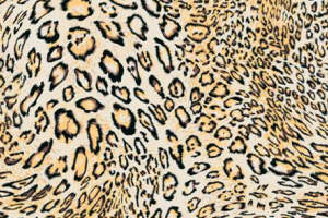 经典豹纹面料印花素材图，适用于服装印花设计与数码印染