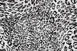 黑白豹纹面料印花素材图，适用于服装印花设计与数码印染
