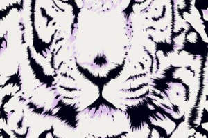 虎纹抽象风面料印花素材，适用于服装印花设计与潮流服饰开发