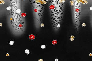 黑底豹纹混搭亮片花卉面料印花素材，适用于高端服装印花设计