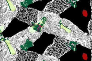 抽象网状结构绿色植物印花面料素材，适用于服装印花设计