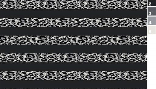 黑白豹纹条纹面料印花素材,适用于服装印花设计与数码印制