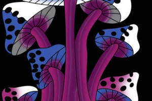 迷幻蘑菇主题面料印花素材，适用于潮牌服装印花设计