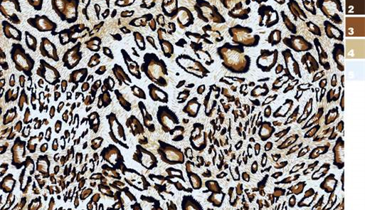 经典豹纹面料印花素材图,适用于服装印花设计与数码印制