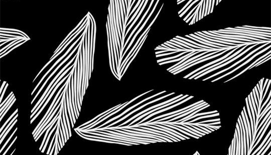 黑白条纹羽毛纹理面料印花素材,适用于服装印花设计