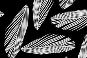 黑白条纹羽毛纹理面料印花素材，适用于服装印花设计