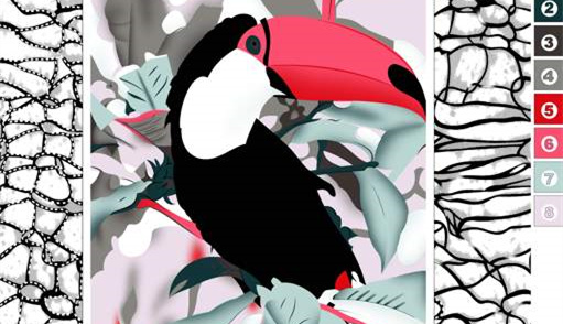 热带巨嘴鸟主题面料印花素材,适用于服装印花设计与数码印染