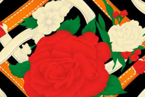 复古撞色玫瑰藤蔓面料印花素材，适用于服装印花设计