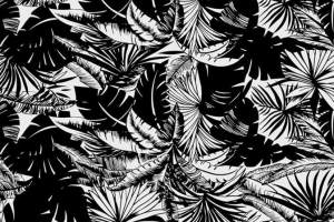 黑白热带叶纹面料印花素材，适用于服装印花设计的高对比度花型图