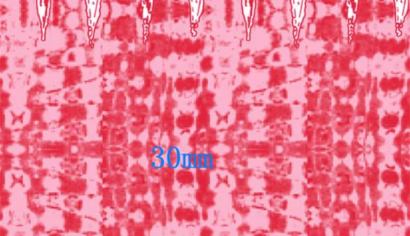 30mm红色抽象几何面料印花素材,适用于服装印花设计