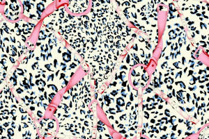 豹纹底粉红马具链条印花面料，时尚前卫服装印花素材图