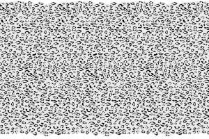 黑白豹纹面料印花素材图，适用于服装印花设计与数码印染