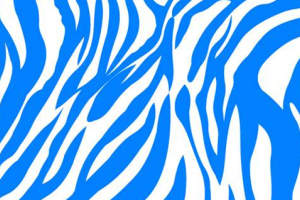 蓝白斑马纹面料印花素材，适用于运动风服装印花设计