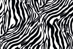 黑白斑马纹面料印花素材，适用于服装印花设计与时尚服饰开发