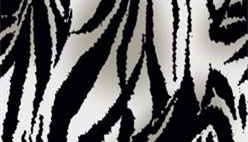 黑白斑马纹面料印花素材，适用于服装印花设计的高对比度纹理图