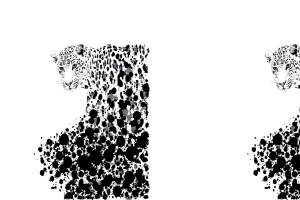 黑白泼墨豹纹面料印花素材，适用于时尚服装印花设计