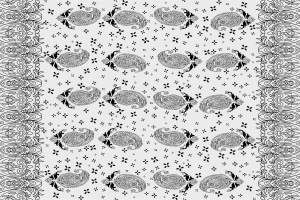 经典佩斯利纹面料印花素材，适用于服装印花设计与定制