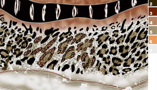 豹纹拼接抽象印花面料素材,适用于服装印花设计与定制