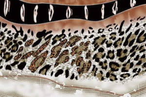 豹纹拼接抽象印花面料素材，适用于服装印花设计与定制