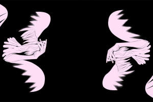 黑白对比手绘飞鸟图案面料印花素材，适用于服装印花设计