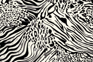 黑白抽象动物纹面料印花素材，适用于时尚服装印花设计