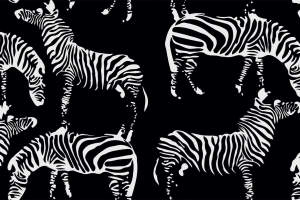 黑白斑马纹面料印花素材，适用于服装印花设计的高对比度图案