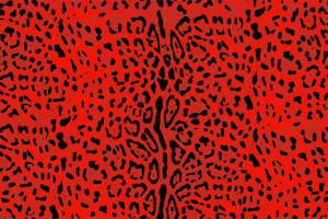 高对比红黑豹纹面料印花素材，适用于时尚服装印花设计