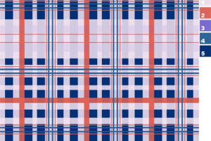 经典蓝红格纹面料印花设计，服装印花素材优选