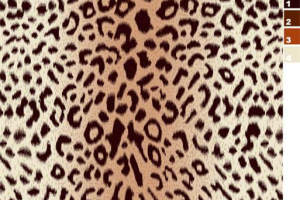 经典豹纹服装印花素材，时尚面料印花设计高清资源