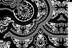 经典黑白佩斯利服装印花素材，高端面料印花设计图
