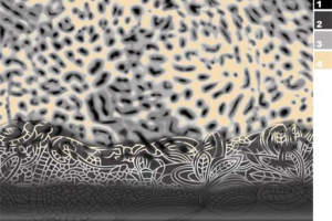 时尚豹纹花卉面料印花素材 服装印花设计必备