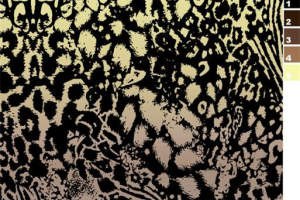 复古抽象豹纹面料印花素材，服装印花设计必备