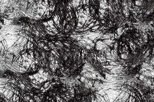 黑白抽象线条面料印花素材 服装印花设计灵感